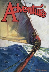 Cover of Nerve enough