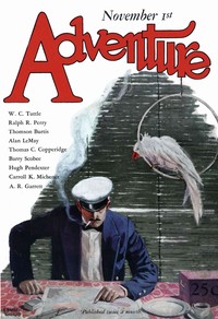 Cover of Salute