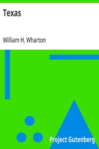 Cover of Texas A Brief Account of the Origin, Progress and Present State of the Colonial Settlements of Texas; Together with an Exposition of the Causes which have induced the Existing War with Mexico
