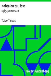 Cover of Kohtalon tuulissa : $b Nykyajan romaani