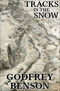 Cover of Tracks in the snow : $b Being the history of a crime