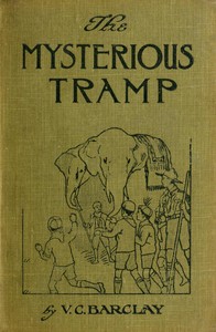 Cover of The mysterious tramp