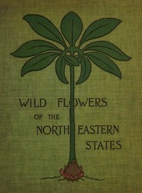 Cover of Wild flowers of the north-eastern states : $b Being three hundred and eight individuals common to the north-eastern United States