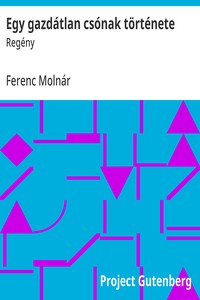 Cover of Egy gazdátlan csónak története : $b Regény