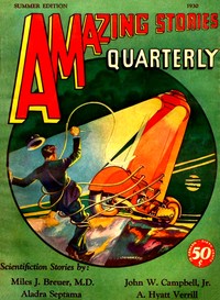 Cover of The voice of the void