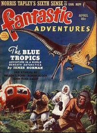 Cover of The judging of the priestess