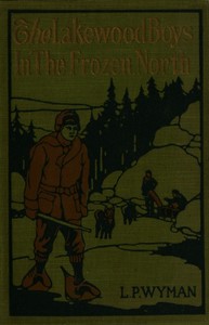 Cover of The Lakewood boys in the frozen North