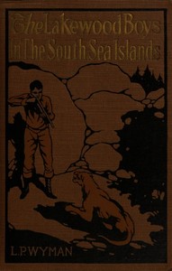Cover of The Lakewood boys in the South Sea islands