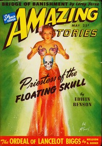 Cover of The ordeal of Lancelot Biggs