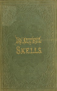 Cover of Beautiful shells : $b Their nature, structure, and uses familiarly explained; with directions for collecting, cleaning, and arranging them in the cabinet; descriptions of the most remarkable species, and of the creatures which inhabit them; and explanations of the meanings of their scientific names, and of the terms used in conchology