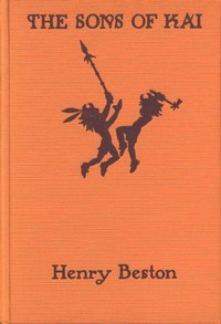 Cover of The sons of Kai : $b The story the Indian told