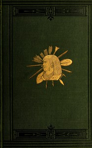 Cover of Up the Amazon and Madeira rivers, through Bolivia and Peru