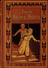 Cover of Two brave boys, and, The wrong twin