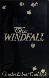 Cover of The windfall : $b a novel
