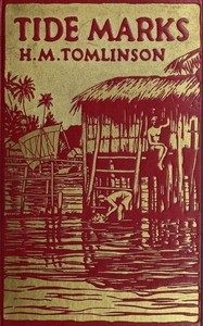 Cover of Tide marks : $b being some records of a journey to the beaches of the Moluccas and the forest of Malaya in 1923