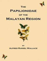 Cover of On the phenomena of variation and geographical distribution as illustrated by the Papilionidæ of the Malayan region