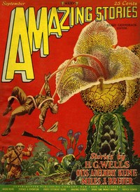 Cover of The radio ghost