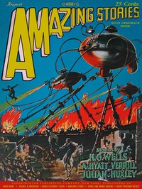 Cover of The shadow on the spark