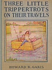 Cover of Three little Trippertrots on their travels : $b The wonderful things they saw and the wonderful things they did