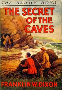 Cover of The secret of the caves