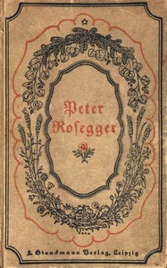 Cover of Sonderlinge
