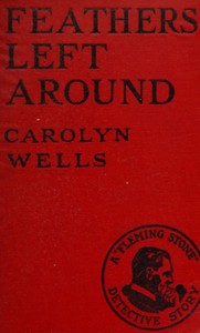 Cover of Feathers left around