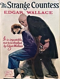 Cover of The strange countess