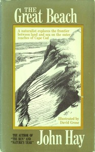 Cover of The great beach