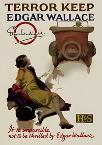 Cover of Terror keep