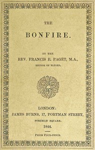 Cover of The bonfire