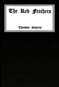 Cover of The red feathers : $b A story of remarkable adventures when the world was young