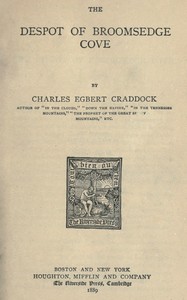 Cover of The despot of Broomsedge Cove