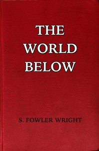Cover of The world below