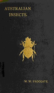 Cover of Australian insects