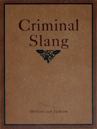 Cover of A vocabulary of criminal slang : $b with some examples of common usages