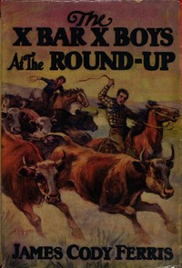 Cover of The X Bar X boys at the round-up