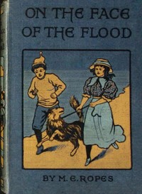 Cover of On the face of the flood