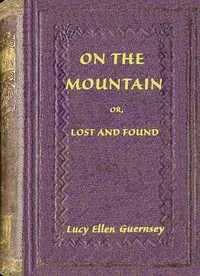 Cover of On the mountain : $b or, Lost and found
