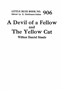 Cover of A devil of a fellow, and The yellow cat