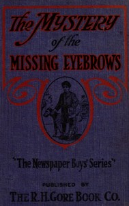 Cover of The mystery of the missing eyebrows