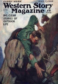 Cover of The land beyond the mist