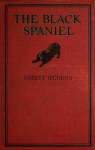 Cover of The black spaniel, and other stories