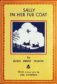 Cover of Sally in her fur coat