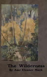 Cover of The wilderness