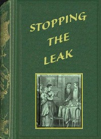 Cover of Stopping the leak
