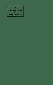 Cover of A silver pool