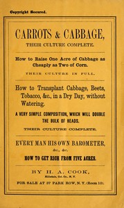 Cover of Ten years' experience in raising carrots and cabbage
