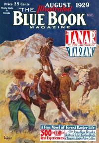 Cover of The rebellion of Constable Kitt
