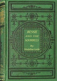 Cover of Bessie and the squirrels