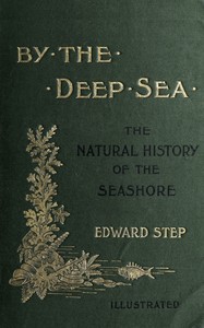 Cover of By the deep sea : $b a popular introduction to the wild life of the British shores